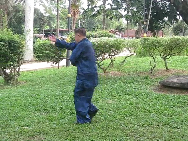 Wu Yu Xiang Style Taijiquan